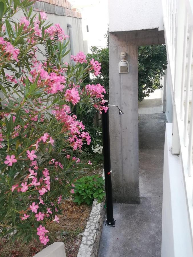 Apartments Mediterranean House Klek Extérieur photo